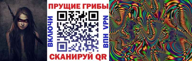 кракен вход  Тогучин  Галлюциногенные грибы мухоморы 